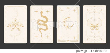 Tarot card frame set spiritual esoteric reverse border light magic sacred cover card. Mystic elements moon with line flowers, sun, magic moth, snake fantasy sign. 134048986