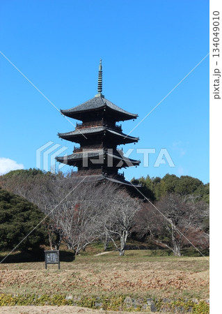 2025年12月初冬_岡山県総社市【備中国分寺】_ OSCKOBU_010 2025年12月初冬_岡山県総社市【備中国分寺】_ OSCKOBU_010 134049010