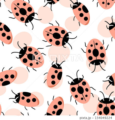Fashion animal seamless pattern with colorful ladybird on white background. Cute holiday illustration with ladybags for baby. Design for invitation, poster, card, fabric, textile Fashion animal seamless pattern with colorful ladybird on white background. Cute holiday illustration with ladybags for baby. Design for invitation, poster, card, fabric, textile 134049224