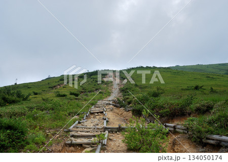 【山の風景】富山県・北アルプス・登山道(折立~太郎平) 【山の風景】富山県・北アルプス・登山道(折立~太郎平) 134050174