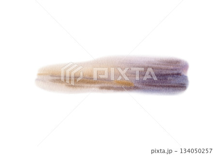 Wet ochre sand glistens with golden sunset reflections and cool,deep shadows as landscape element.Watercolor texture,in contrast and light for coastal art,travel themes,nature backgrounds 134050257