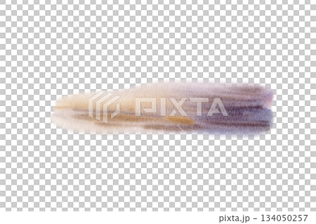 Wet ochre sand glistens with golden sunset reflections and cool,deep shadows as landscape element.Watercolor texture,in contrast and light for coastal art,travel themes,nature backgrounds 134050257