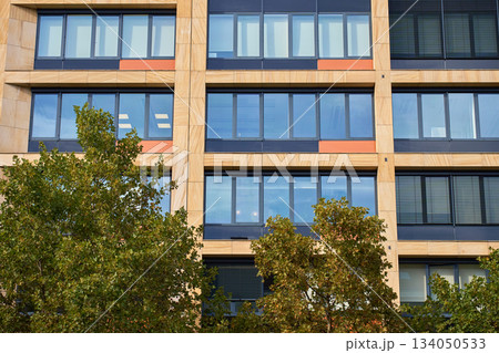 Modern office building facade with trees Modern office building facade with trees 134050533