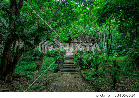 緑に包まれた石垣島の仲間満慶山英極の墓の静かな風景 緑に包まれた石垣島の仲間満慶山英極の墓の静かな風景 134050614