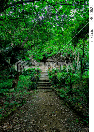 緑に包まれた石垣島の仲間満慶山英極の墓の静かな風景 緑に包まれた石垣島の仲間満慶山英極の墓の静かな風景 134050620