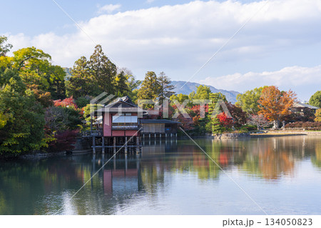 長岡天満宮　錦水亭　紅葉の季節（京都府長岡京市） 134050823
