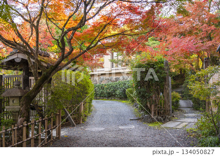 長岡天満宮　紅葉（京都府長岡京市） 134050827