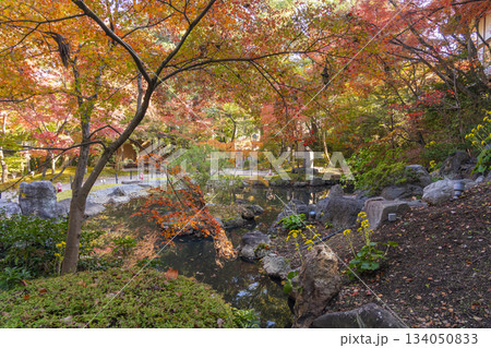 長岡天満宮　錦景苑　紅葉（京都府長岡京市） 134050833