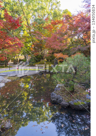 長岡天満宮　錦景苑　紅葉（京都府長岡京市） 134050834