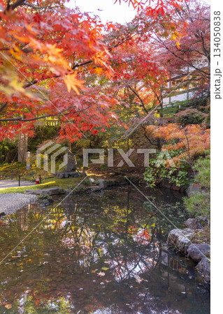 長岡天満宮 錦景苑 紅葉(京都府長岡京市) 長岡天満宮 錦景苑 紅葉(京都府長岡京市) 134050838