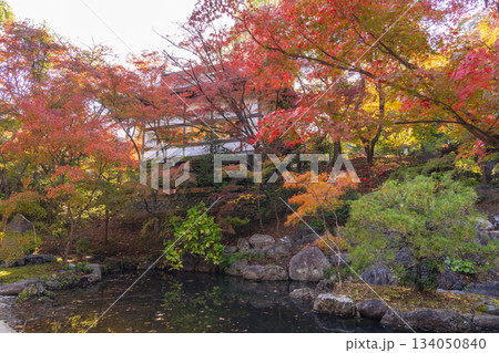 長岡天満宮　錦景苑　紅葉（京都府長岡京市） 134050840