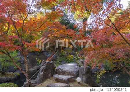 長岡天満宮　錦景苑　紅葉（京都府長岡京市） 134050841