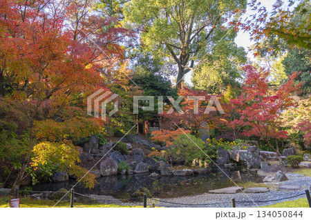 長岡天満宮　錦景苑　紅葉（京都府長岡京市） 134050844