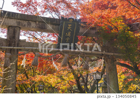 長岡天満宮　鳥居　紅葉の季節（京都府長岡京市） 134050845