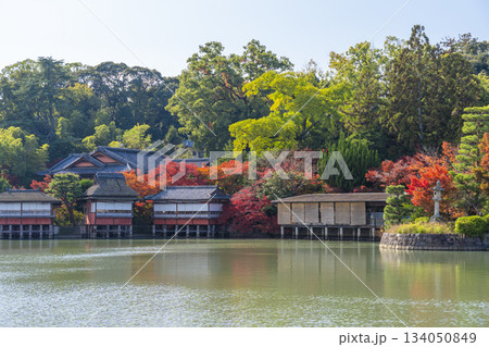 長岡天満宮　錦水亭　紅葉の季節（京都府長岡京市） 134050849