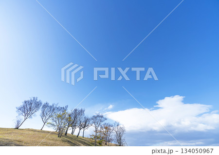 冬空と雲と草原 134050967
