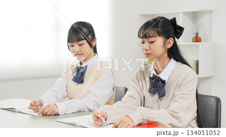 部屋で勉強する二人の女子学生 部屋で勉強する二人の女子学生 134051052