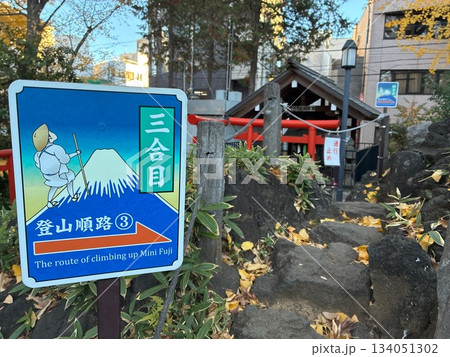 鳩森八幡神社の千駄ヶ谷富士 134051302