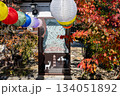 春日神社の提灯 134051892