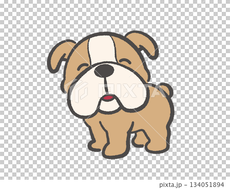 Vector illustration of a cute bulldog puppy 134051894