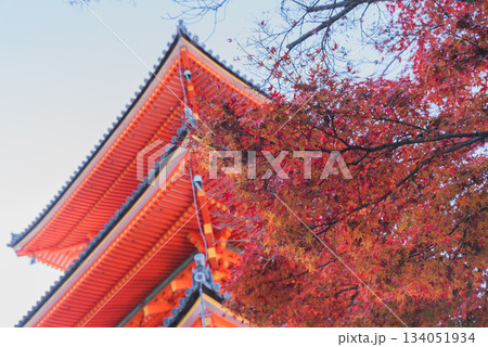 清水寺 134051934