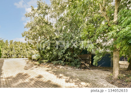 A beautiful outdoor scene featuring a charming pathway bordered by trees and vibrant foliage under a clear blue sky. A beautiful outdoor scene featuring a charming pathway bordered by trees and vibrant foliage under a clear blue sky. 134052633