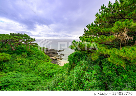 緑豊かな岬と穏やかな海が広がる石垣島の美しい風景 緑豊かな岬と穏やかな海が広がる石垣島の美しい風景 134053776