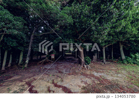 自然と信仰が調和する石垣島の群星御嶽の神聖な風景 134053780