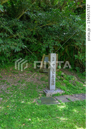 緑に包まれたフルスト原遺跡の静かな風景と南国の自然 134053787