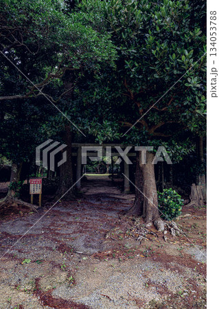 自然と信仰が調和する石垣島の群星御嶽の神聖な風景 134053788