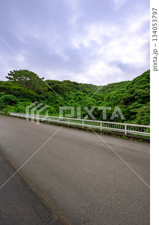 緑あふれる山々と道路が美しい石垣島の自然豊かな風景 134053797