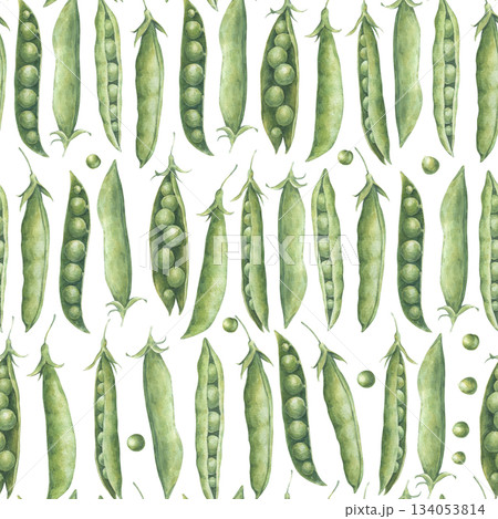 Seamless pattern with green peas pods and seeds, arranged in rows. Hand-drawn watercolor illustration isolated on white background. Perfect for designing packaging, wrapping paper, textiles, and more Seamless pattern with green peas pods and seeds, arranged in rows. Hand-drawn watercolor illustration isolated on white background. Perfect for designing packaging, wrapping paper, textiles, and more 134053814