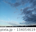 空 134054619