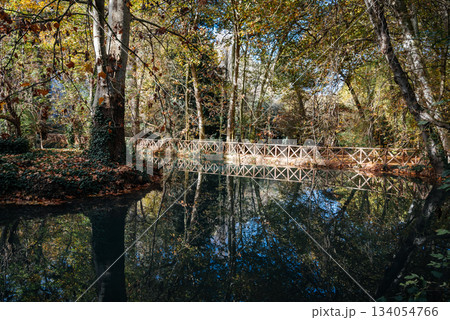 Wooden bridge and reflections in the water at Monasterio de Piedra, Spain Wooden bridge and reflections in the water at Monasterio de Piedra, Spain 134054766