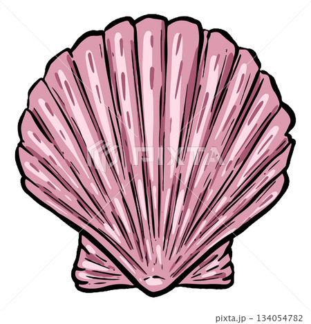 Hand drawn clipart illustration of seashell shell mollusc seaside shellfish Hand drawn clipart illustration of seashell shell mollusc seaside shellfish 134054782