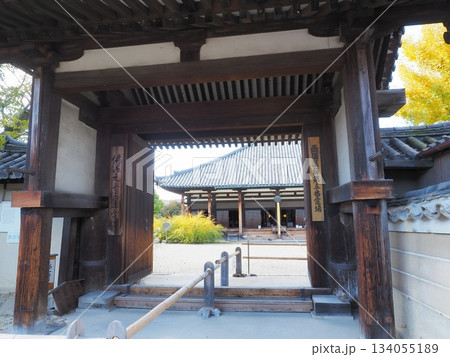 奈良県 元興寺 東門 11月 奈良県 元興寺 東門 11月 134055189