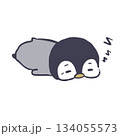うつ伏せで眠るペンギン 134055573