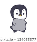 立つペンギン 134055577