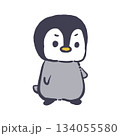 立つペンギン 134055580