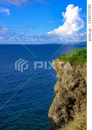 エメラルドグリーンの海に映える万座毛の断崖の風景 134055590