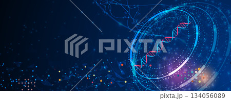 Technology and science dynamic banner or header. Connected neural network 134056089