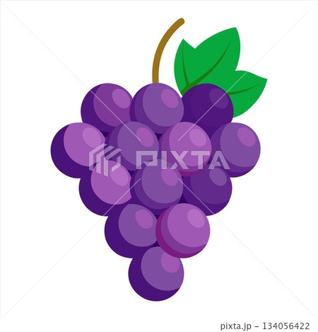 Cartoon illustration of a bunch of purple grapes with green leaves 134056422