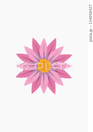 Pretty Pink Flower Illustration with Yellow Center on White Background Pretty Pink Flower Illustration with Yellow Center on White Background 134056427