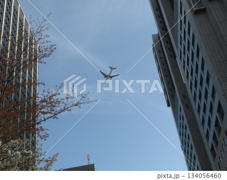 桜 飛行機 134056460