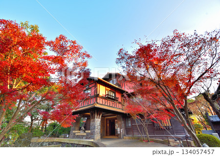 《愛知県》名古屋市 紅葉に包まれる秋の揚輝荘 《愛知県》名古屋市 紅葉に包まれる秋の揚輝荘 134057457