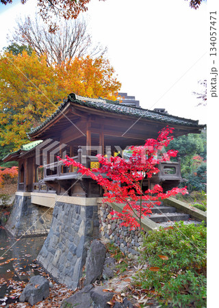 《愛知県》名古屋市　紅葉に包まれる秋の揚輝荘北園 134057471