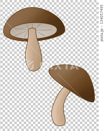 Shiitake mushroom 134057495