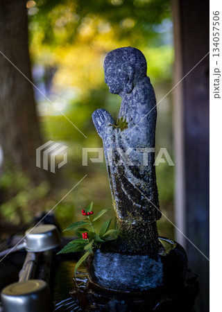 鎌倉251124　安国論寺1　黄葉 134057506