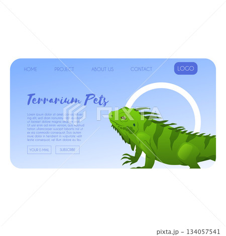 Website page featuring a green iguana, online store, exotic animals. 134057541