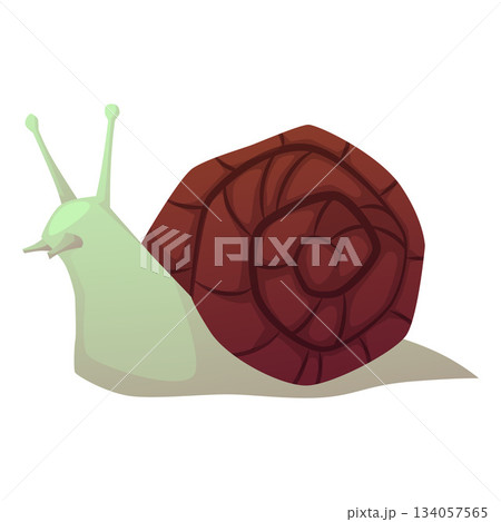 Snail with spiral shell, cartoon cochlea insect, exotic pet animal, vector flat terrarium and aquarium animal Snail with spiral shell, cartoon cochlea insect, exotic pet animal, vector flat terrarium and aquarium animal 134057565
